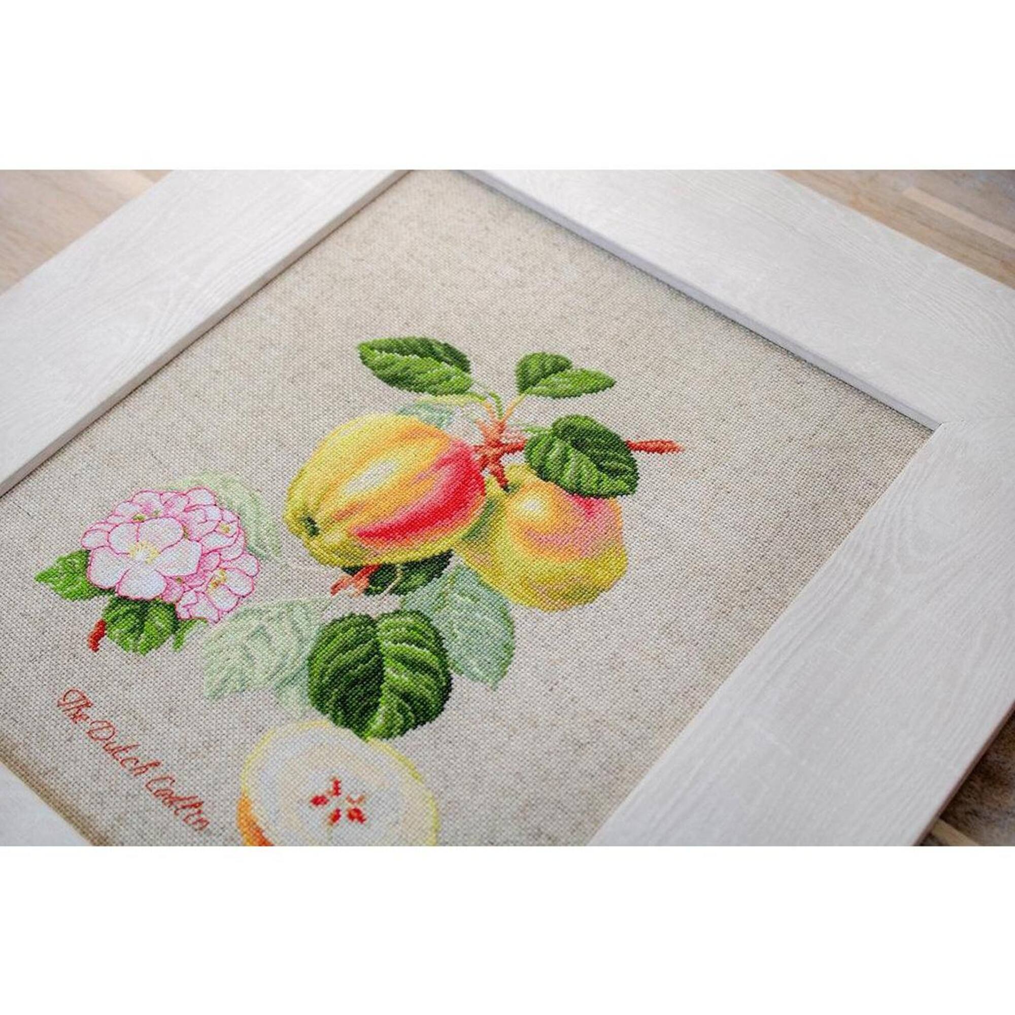 Luca-s The Dutch Codlin Counted Cross Stitch Kit